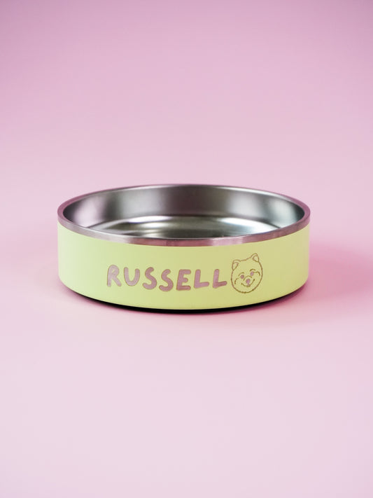 How To Customize Your Ollie Bowl 🐶🐱🐾