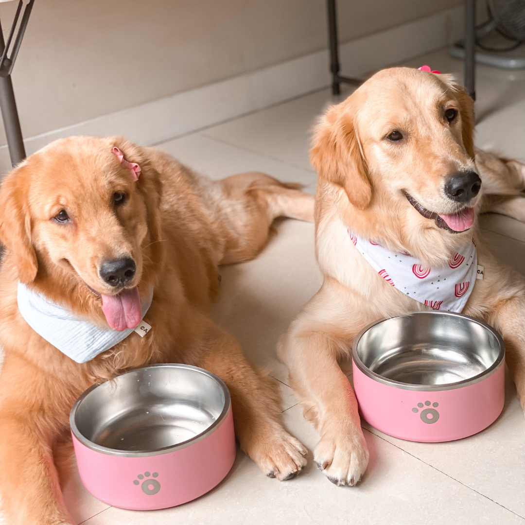 Ollie Bowls Stories: Peggy and Luna