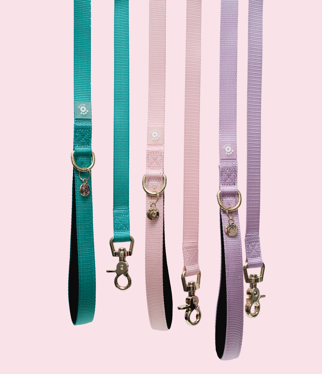 Ollie オーリー Ollie Walkies: Aero Paw - Leashes – Ollie Bowls
