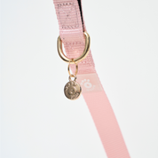 Ollie Walkies: Aero Paw - Rose Quartz (Leash)