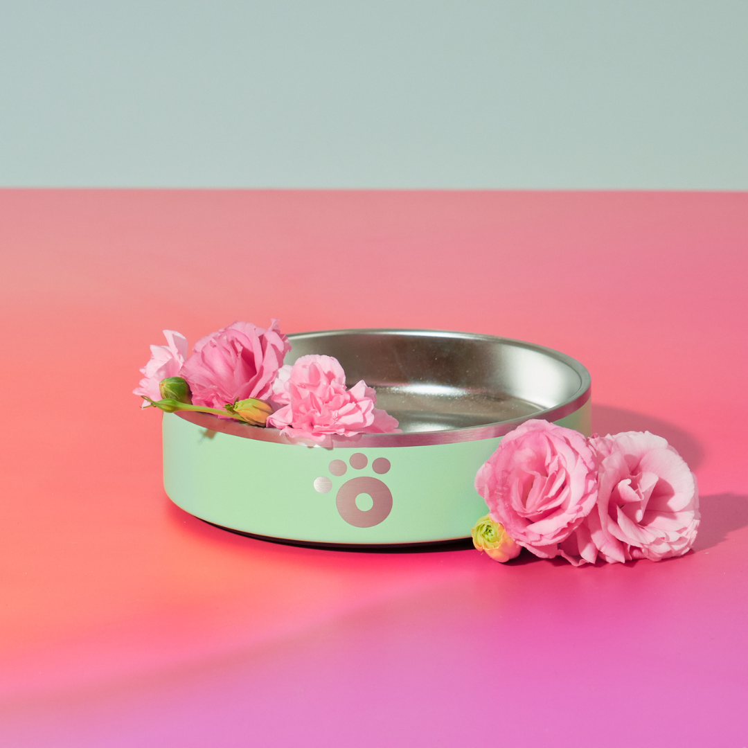 Mint - Ollie Bowl Mini (24oz)