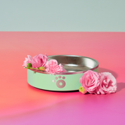 Mint - Ollie Bowl Mini (24oz)