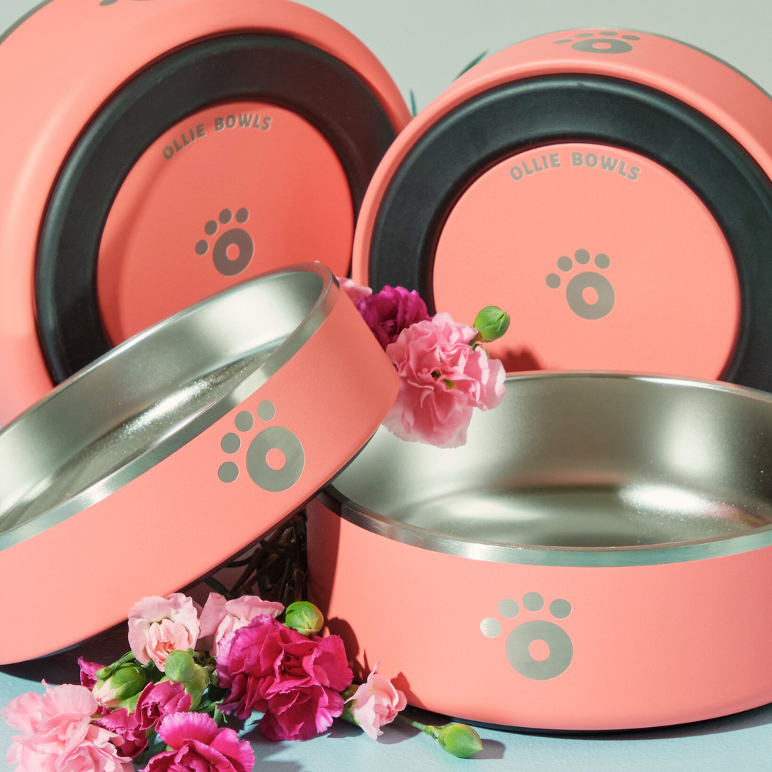 Peony Pink - Ollie Bowl (32oz)