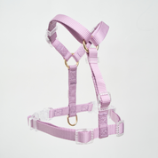 Ollie Walkies: Aero Paw - Amethyst (Harness)