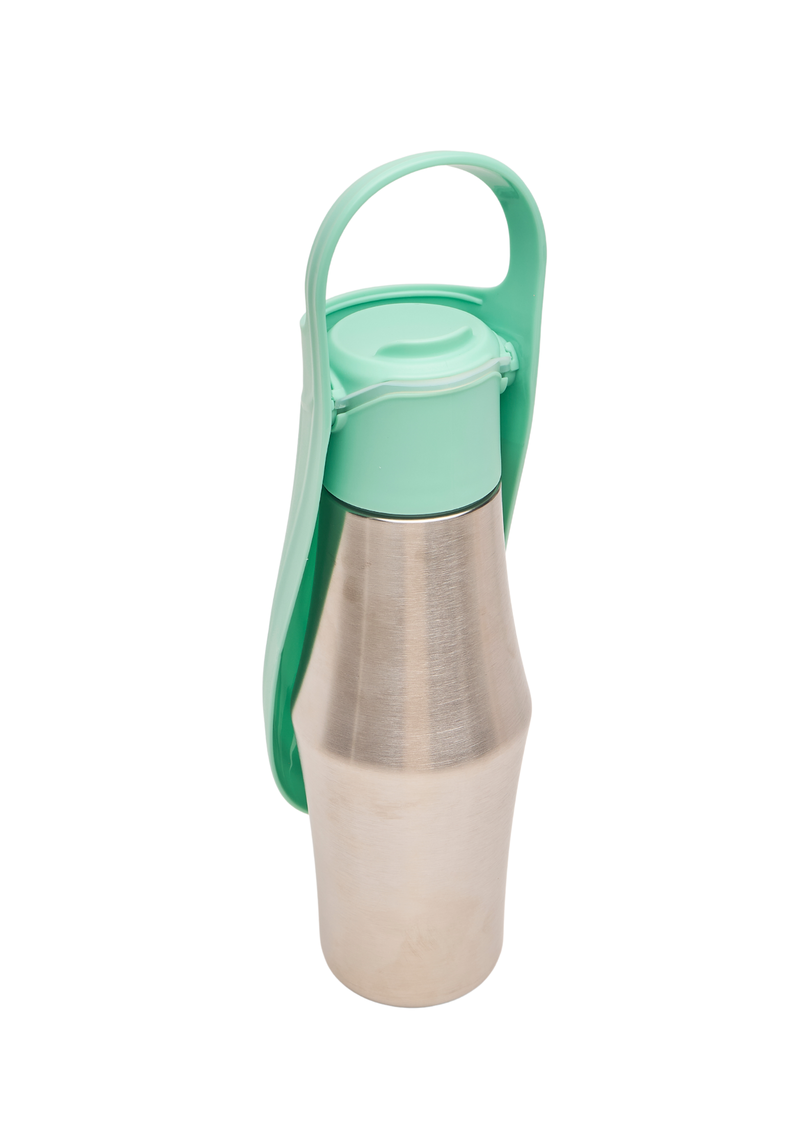 Ollie Dog Water Bottle: Green