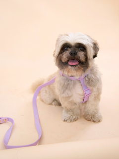 Ollie Walkies Classic - Harness and Leash Set: Lilac