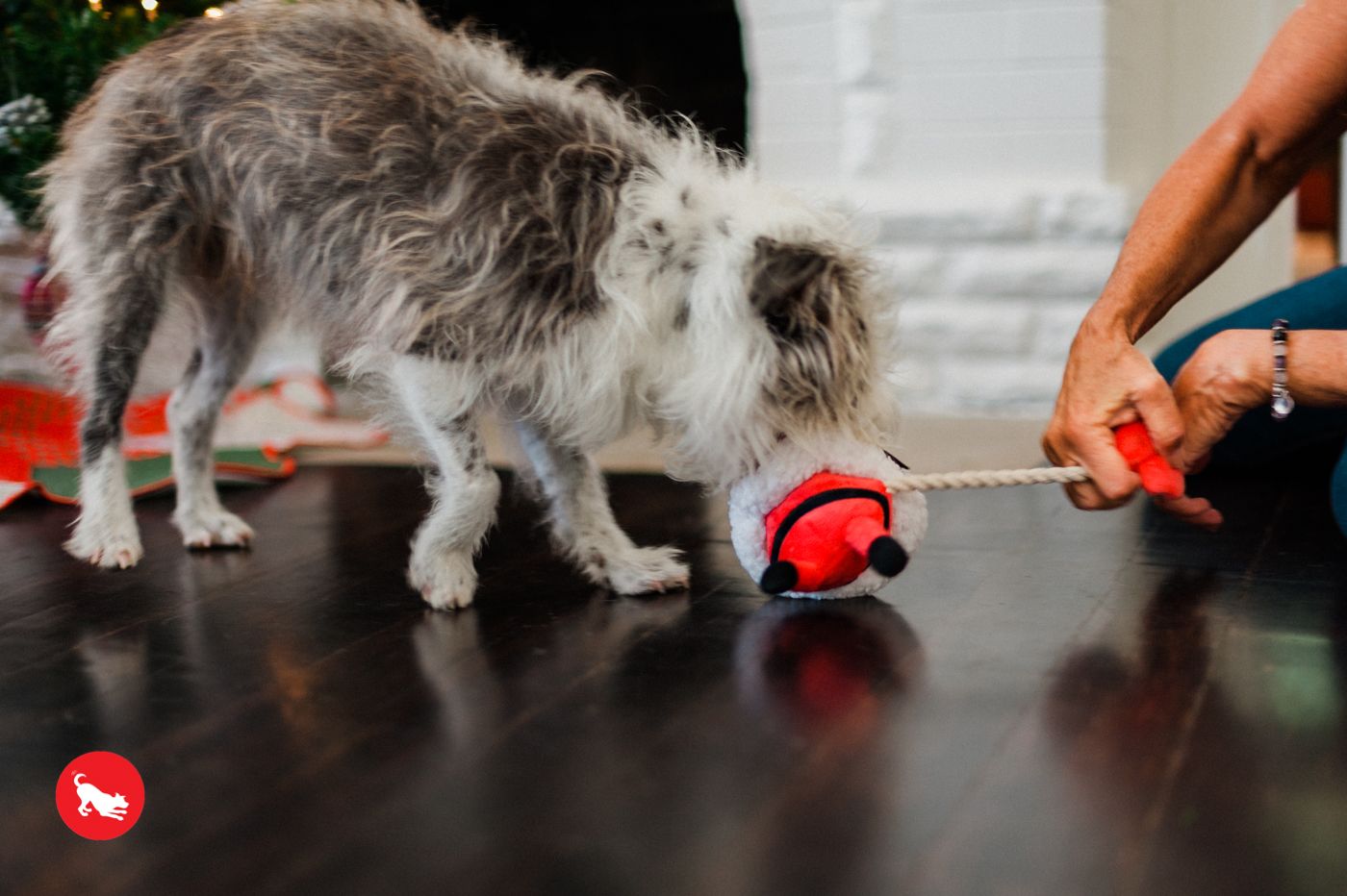 Clumsy Claus
