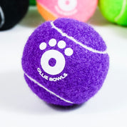 Ollie Balls!