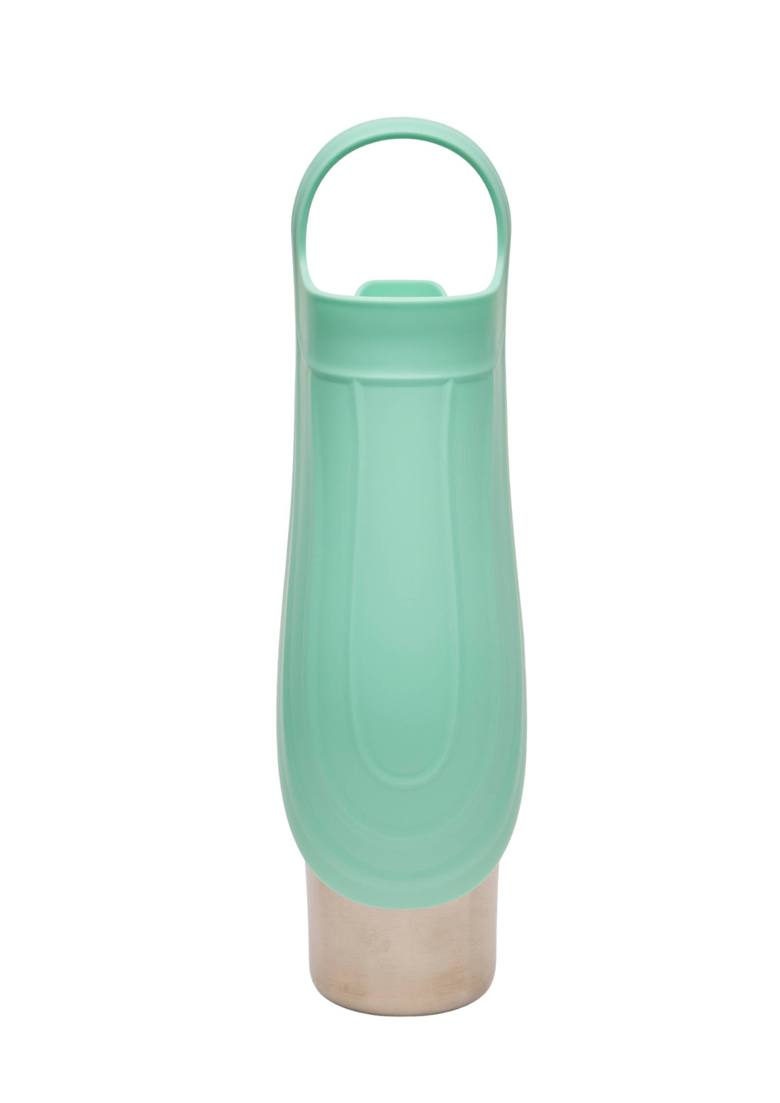 Ollie Dog Water Bottle: Green