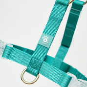 Ollie Walkies: Aero Paw - Emerald (Harness)
