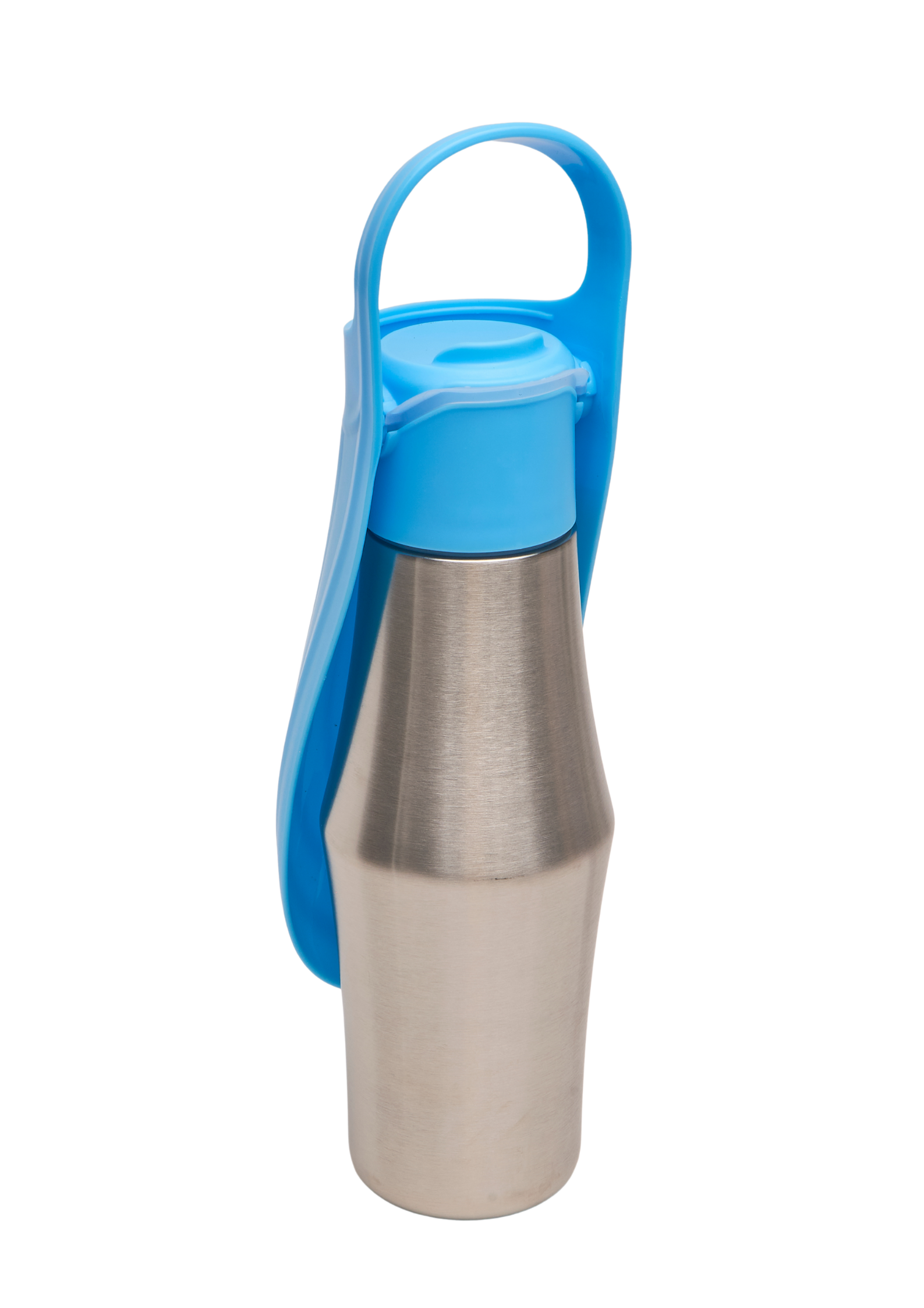 Ollie Dog Water Bottle: Green