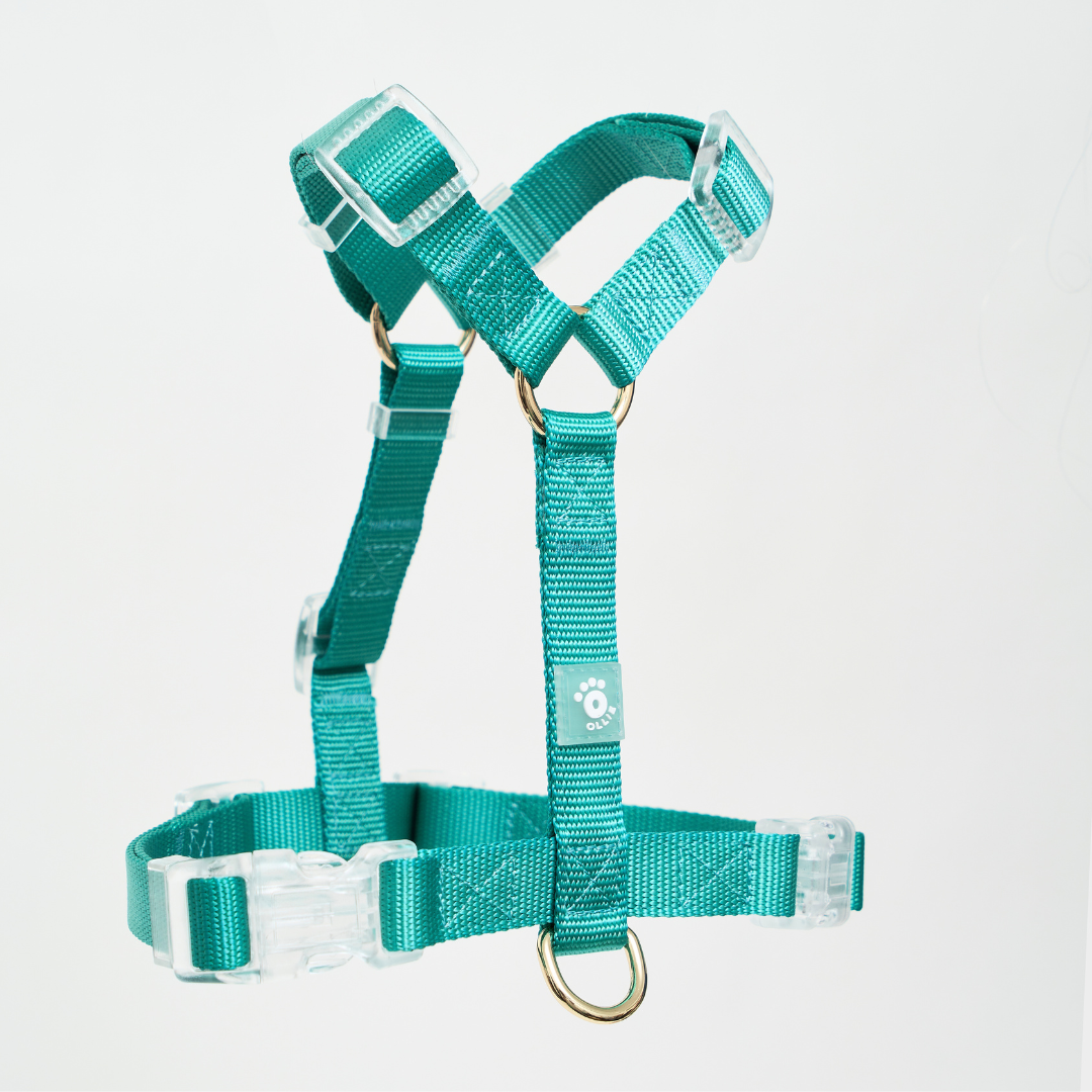 Ollie Walkies: Aero Paw - Emerald (Harness)