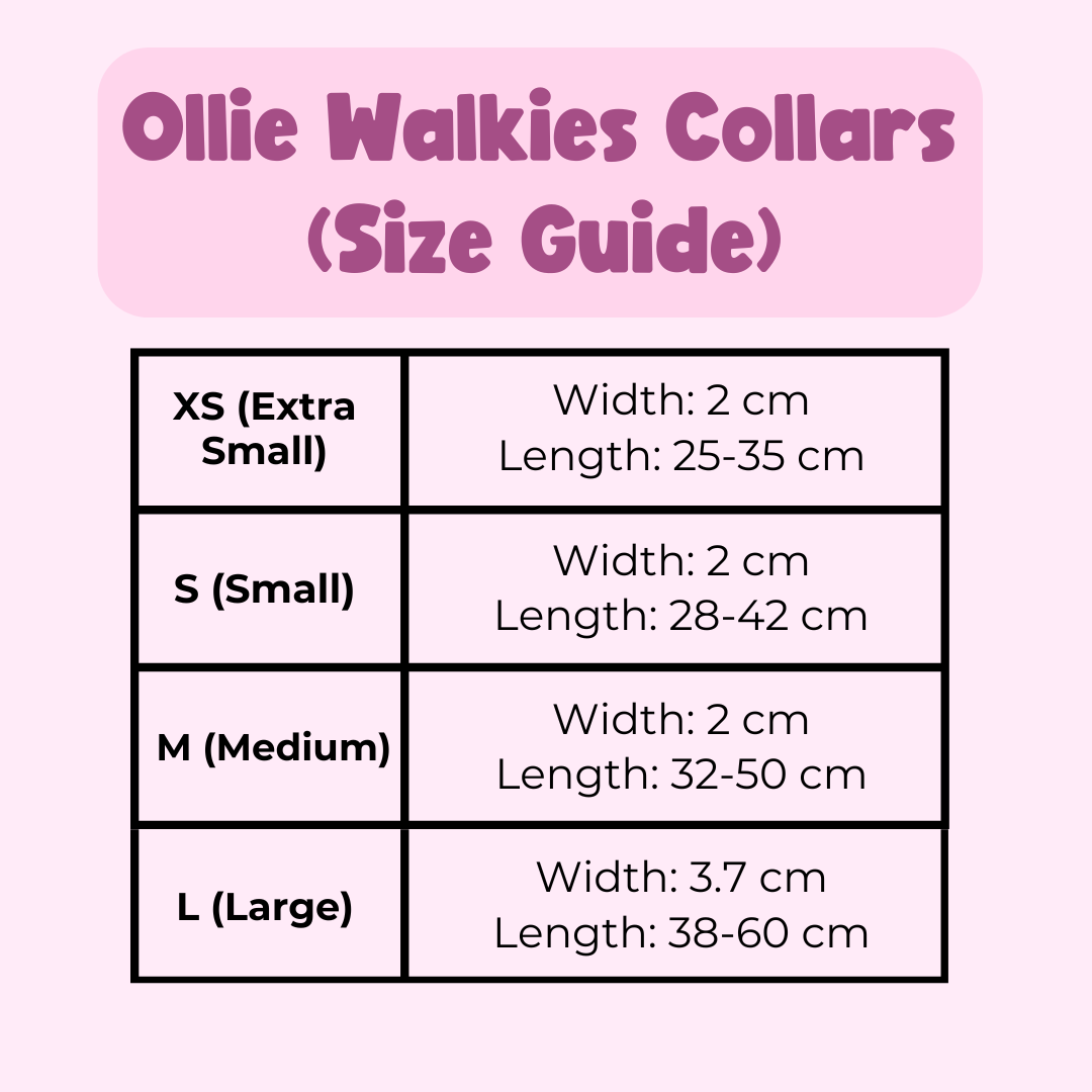 Ollie Walkies Classic - Collar and Leash Set - Aqua