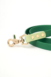Ollie Walkies Classic - Collar and Leash Set - Seaweed