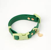 Ollie Walkies Classic - Collar and Leash Set - Seaweed