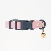 Ollie Walkies Classic - Collar and Leash Set - Otto's Purple