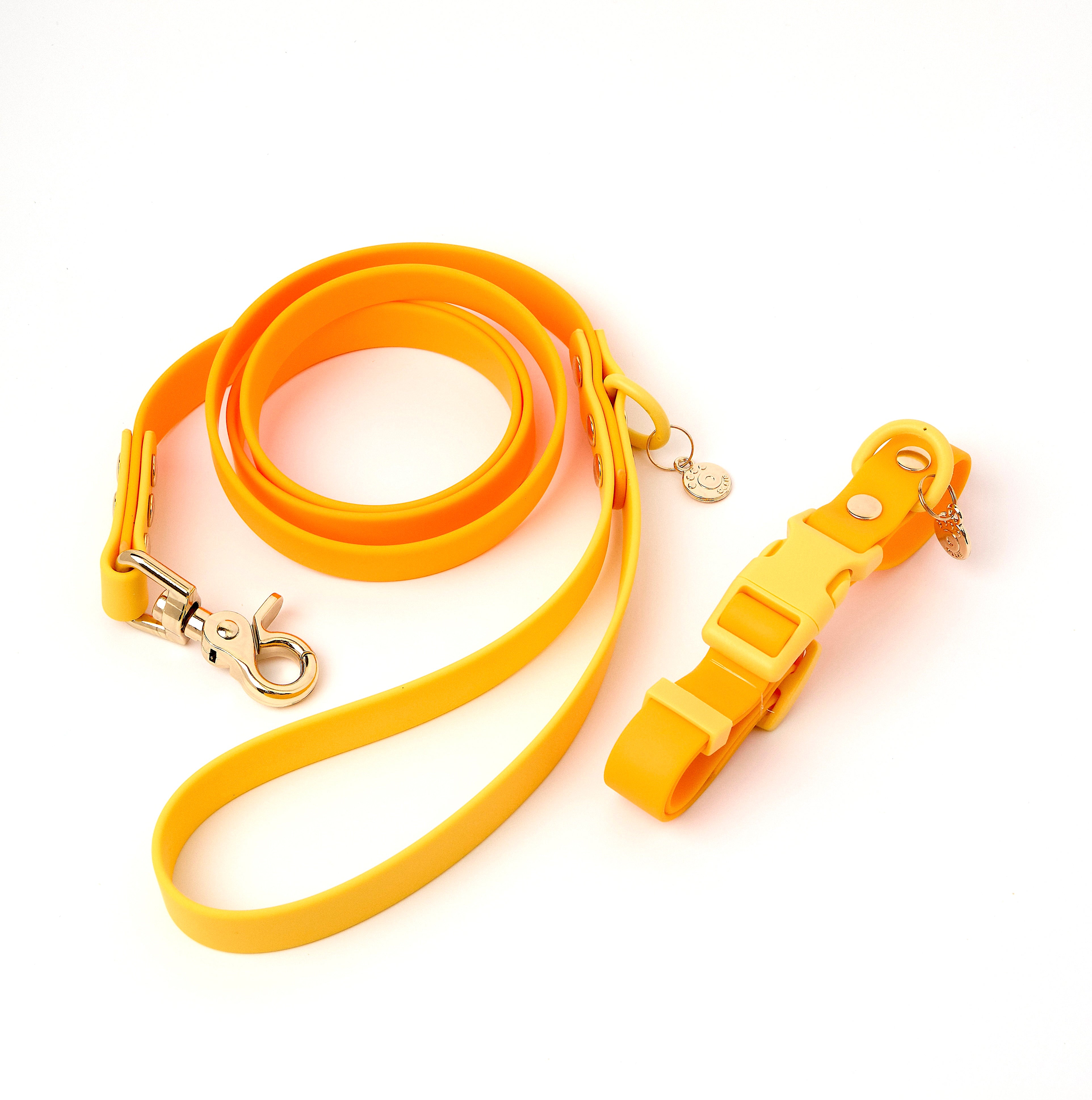 Ollie Walkies Classic - Collar and Leash Set - Lemonade