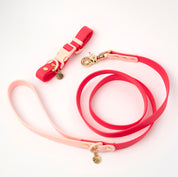 Ollie Walkies Classic - Collar and Leash Set - Watermelon