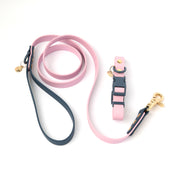 Ollie Walkies Classic - Collar and Leash Set - Otto's Purple