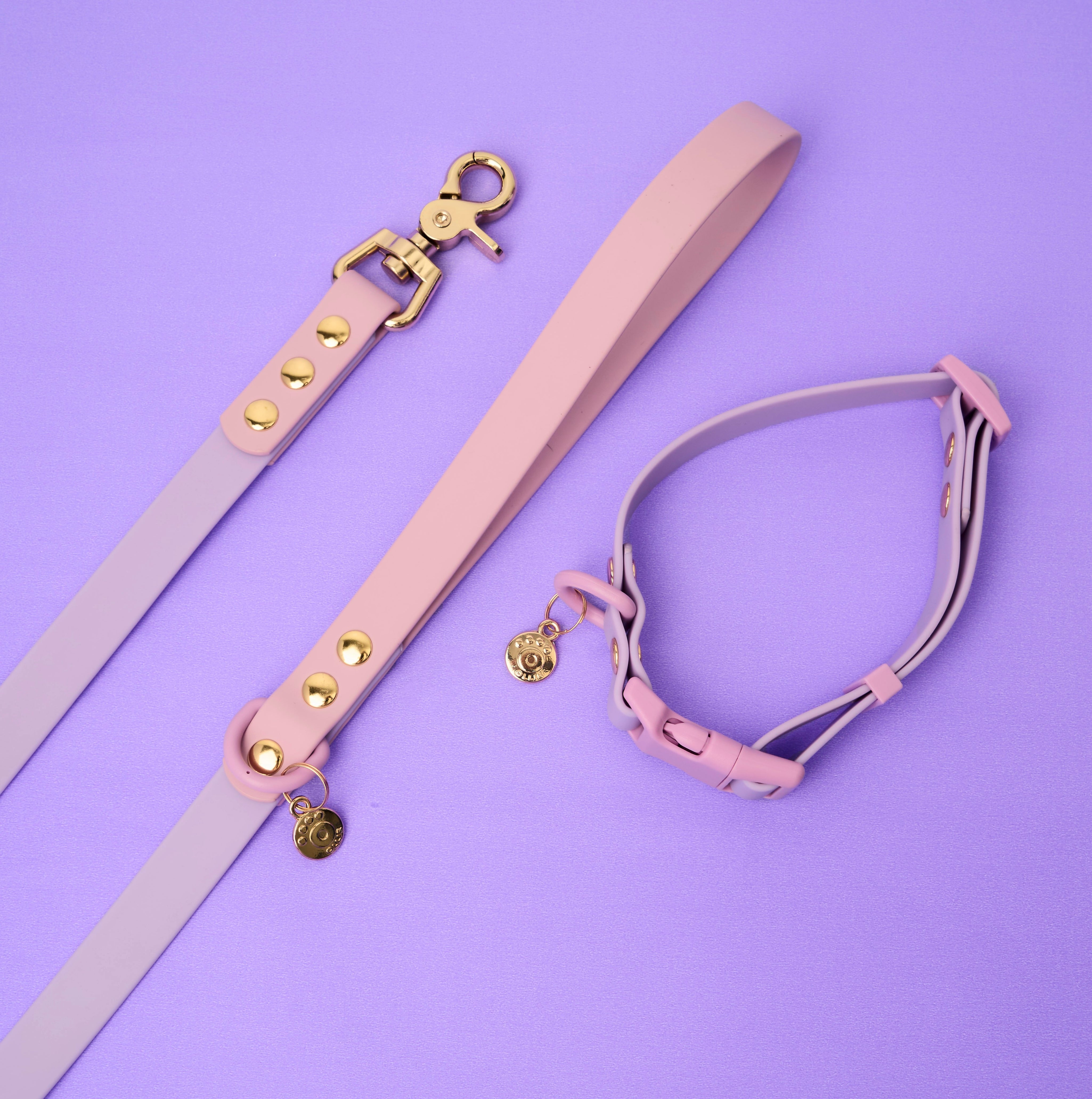 Ollie Walkies Classic - Collar and Leash Set - Lilac