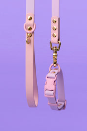 Ollie Walkies: Classic - Lilac (Leash)