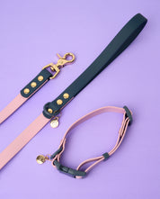 Ollie Walkies Classic - Collar and Leash Set - Otto's Purple