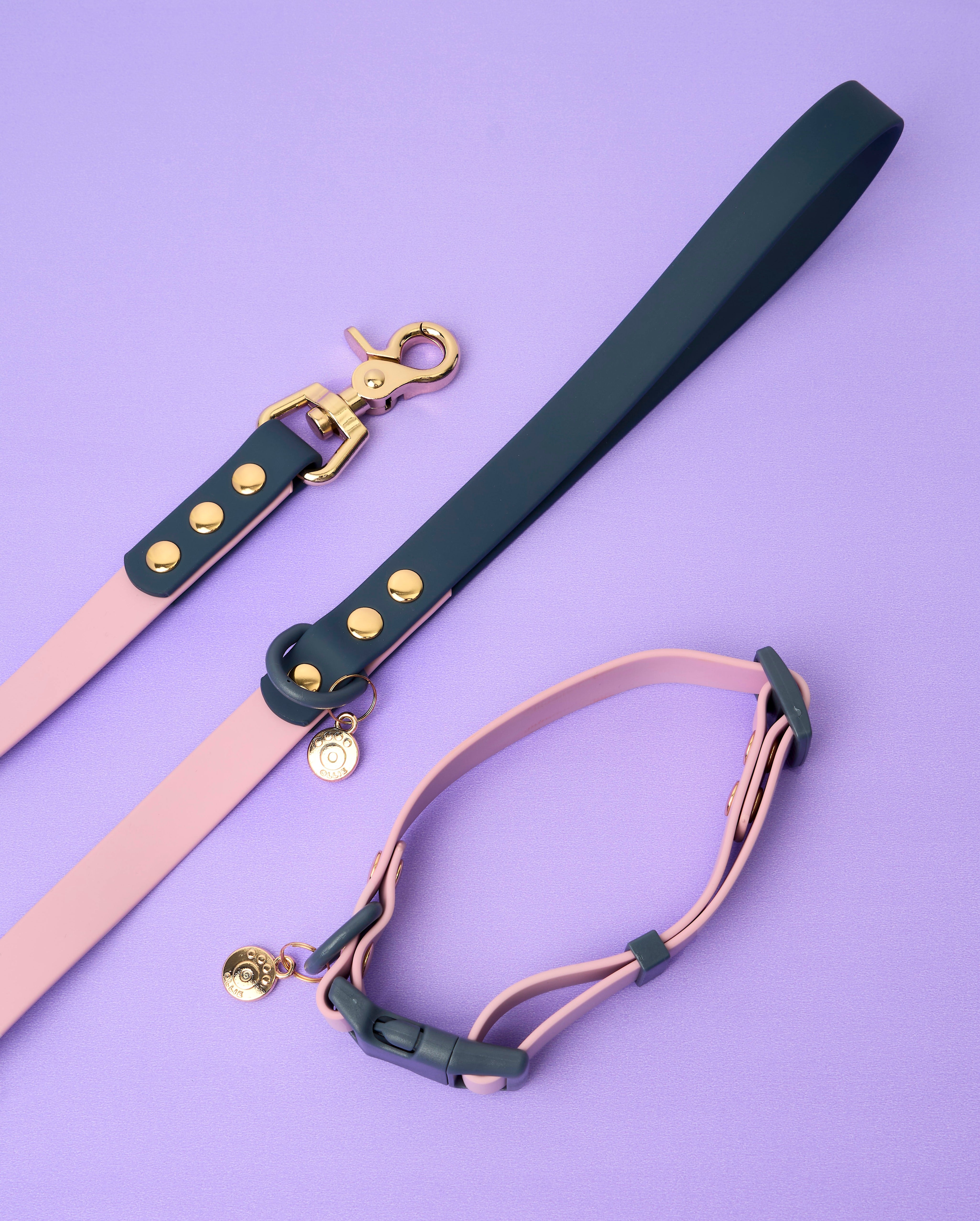 Ollie Walkies Classic - Collar and Leash Set - Otto's Purple