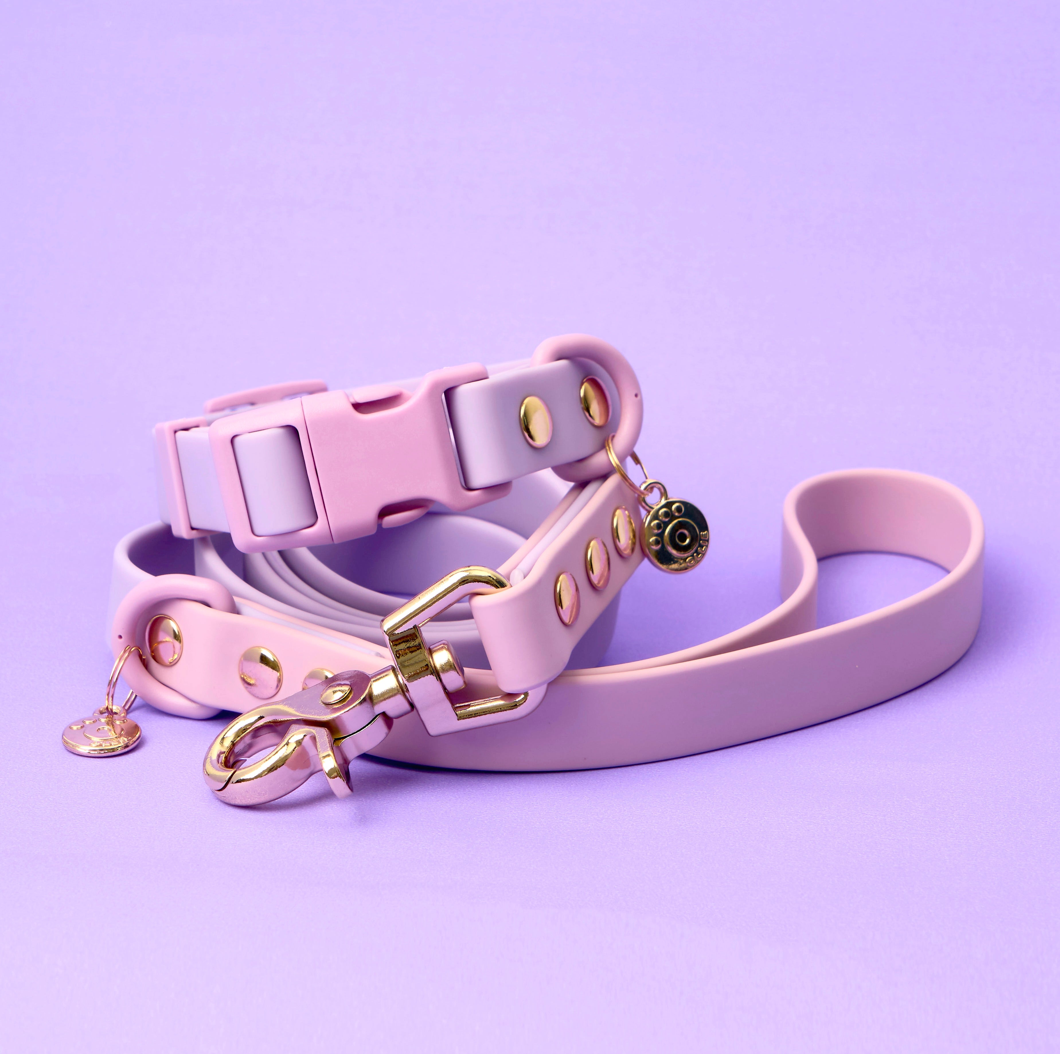 Ollie Walkies Classic - Collar and Leash Set - Lilac