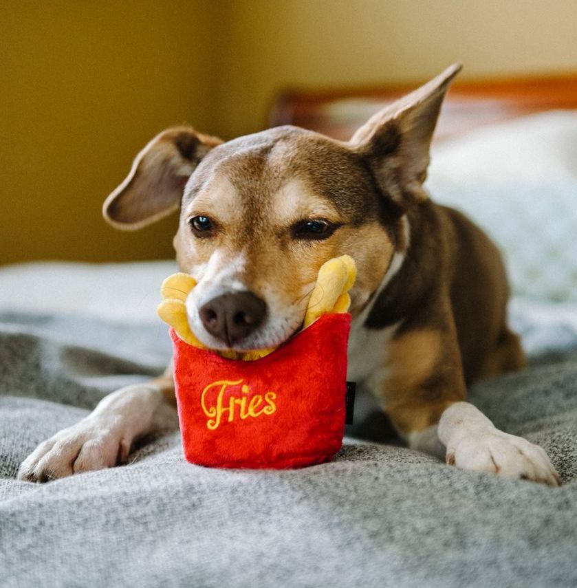 Frenchie Fries