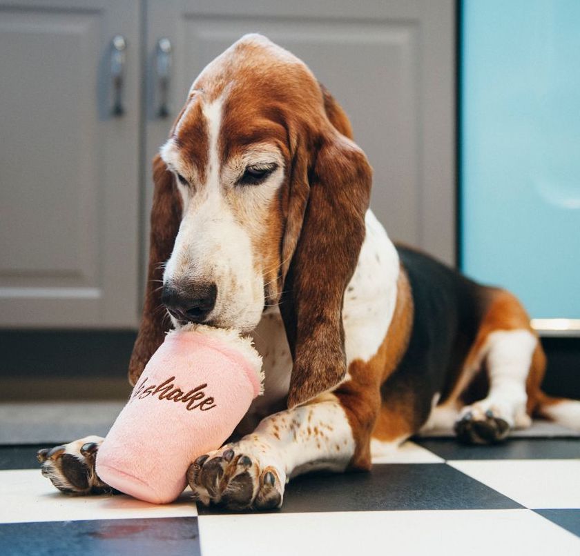 Mutts Milkshake