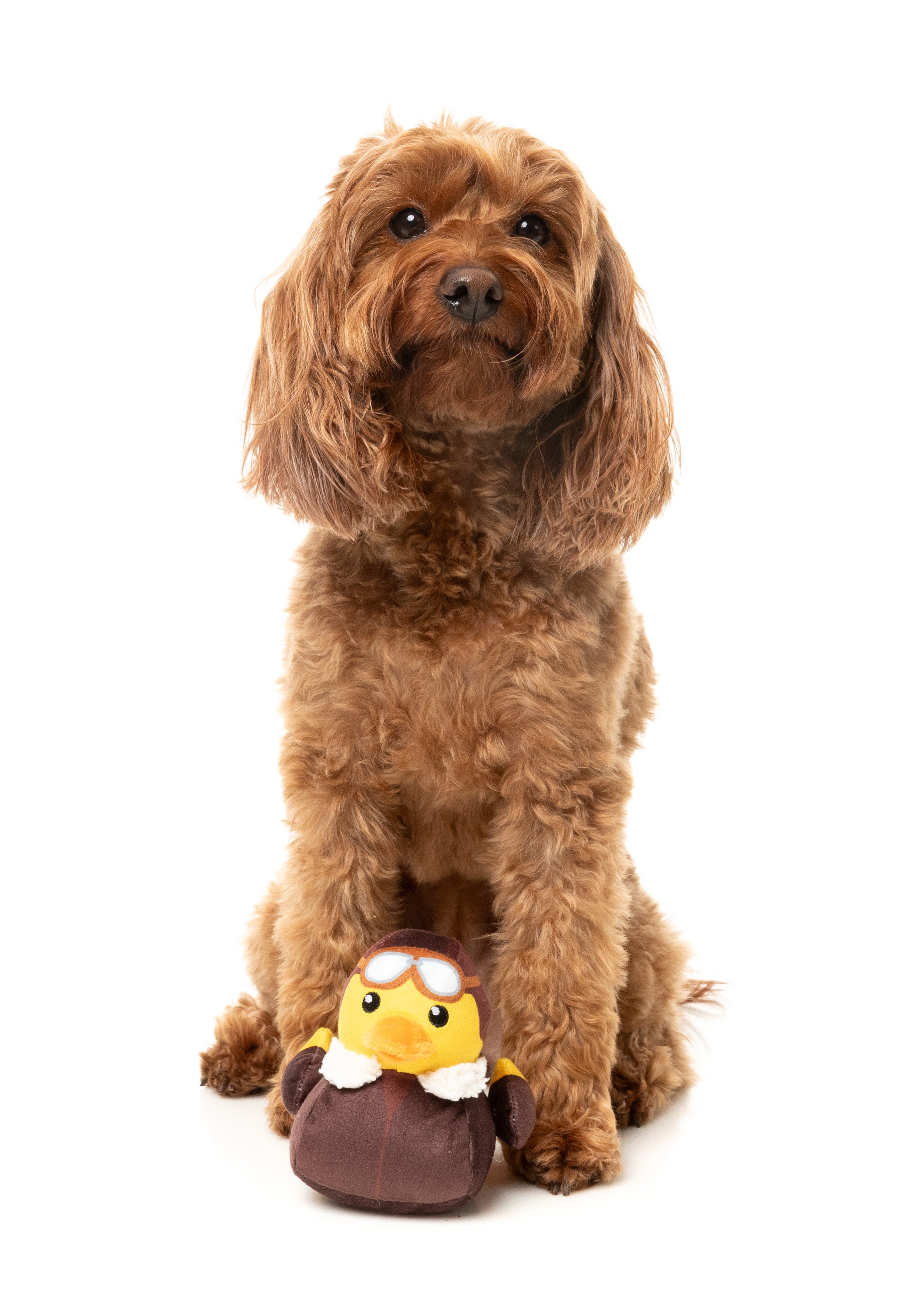 FuzzYard - Amelia Quackhart (Small)