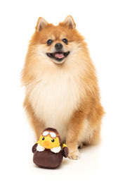 FuzzYard - Amelia Quackhart (Small)