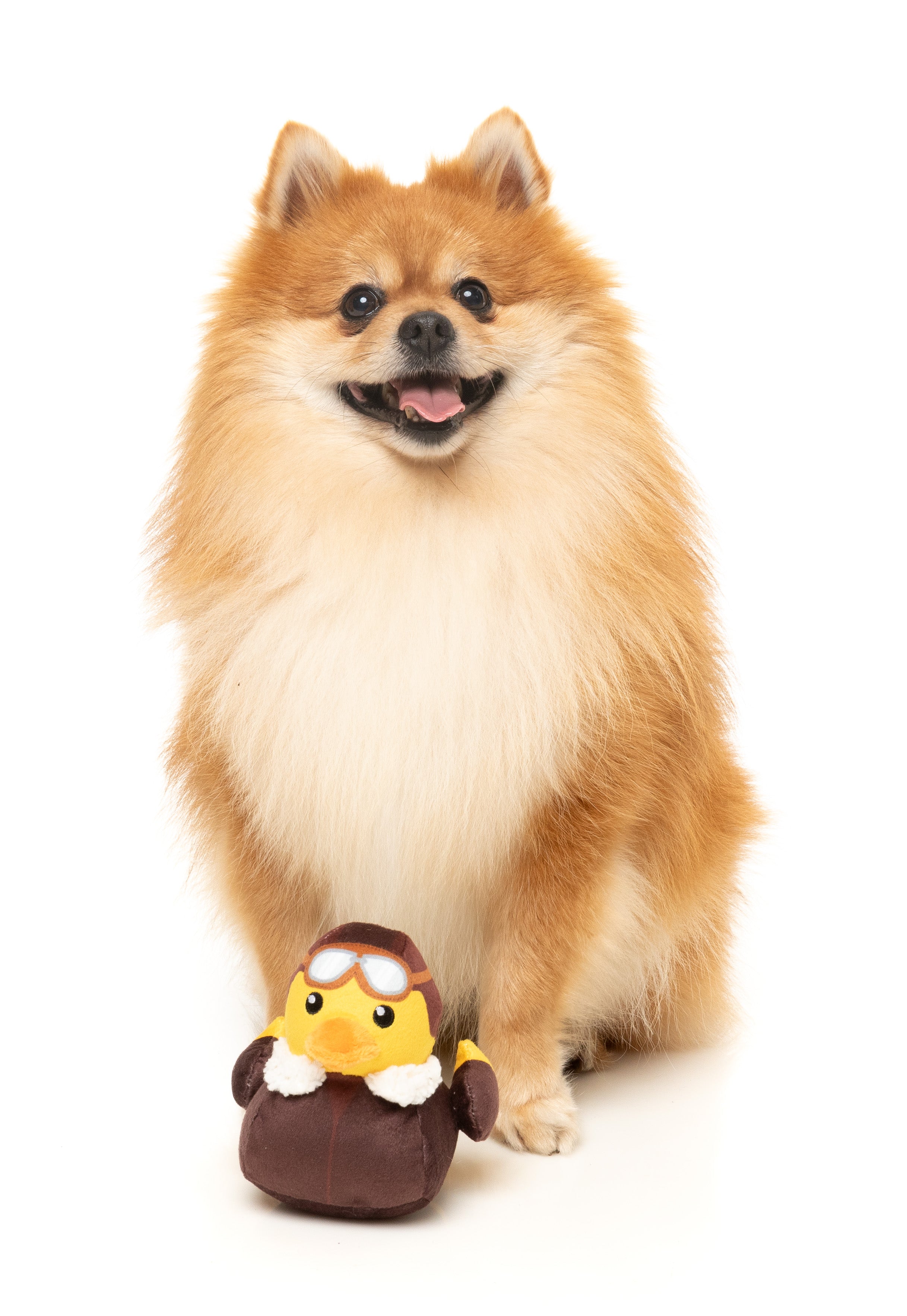 FuzzYard - Amelia Quackhart (Small)