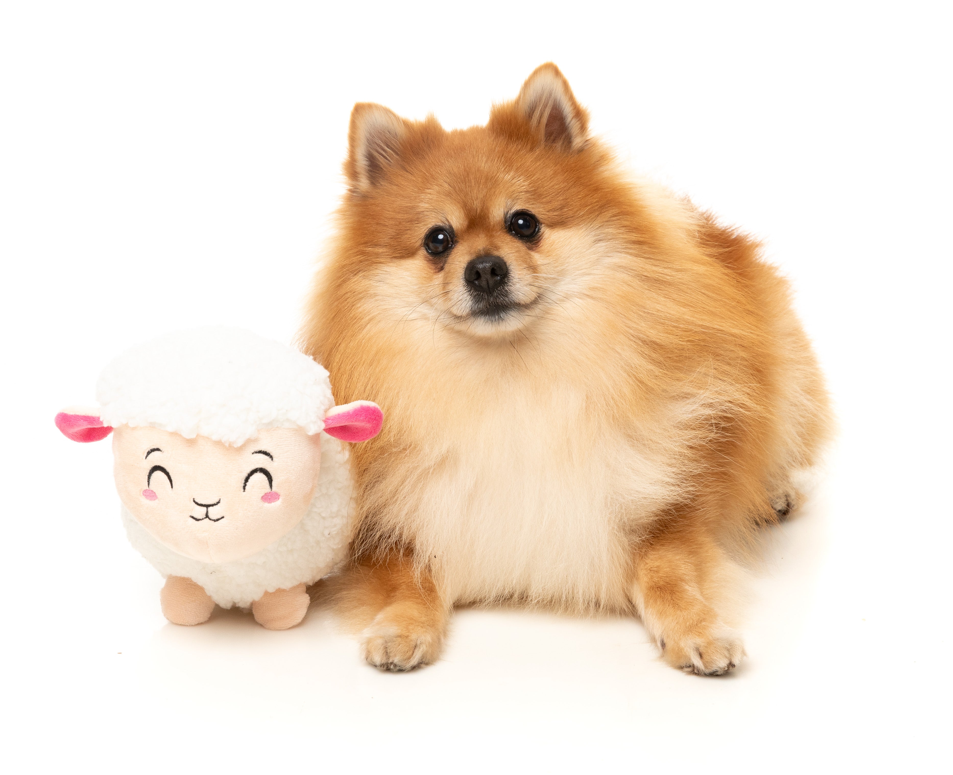 FuzzYard - Bahh-bara