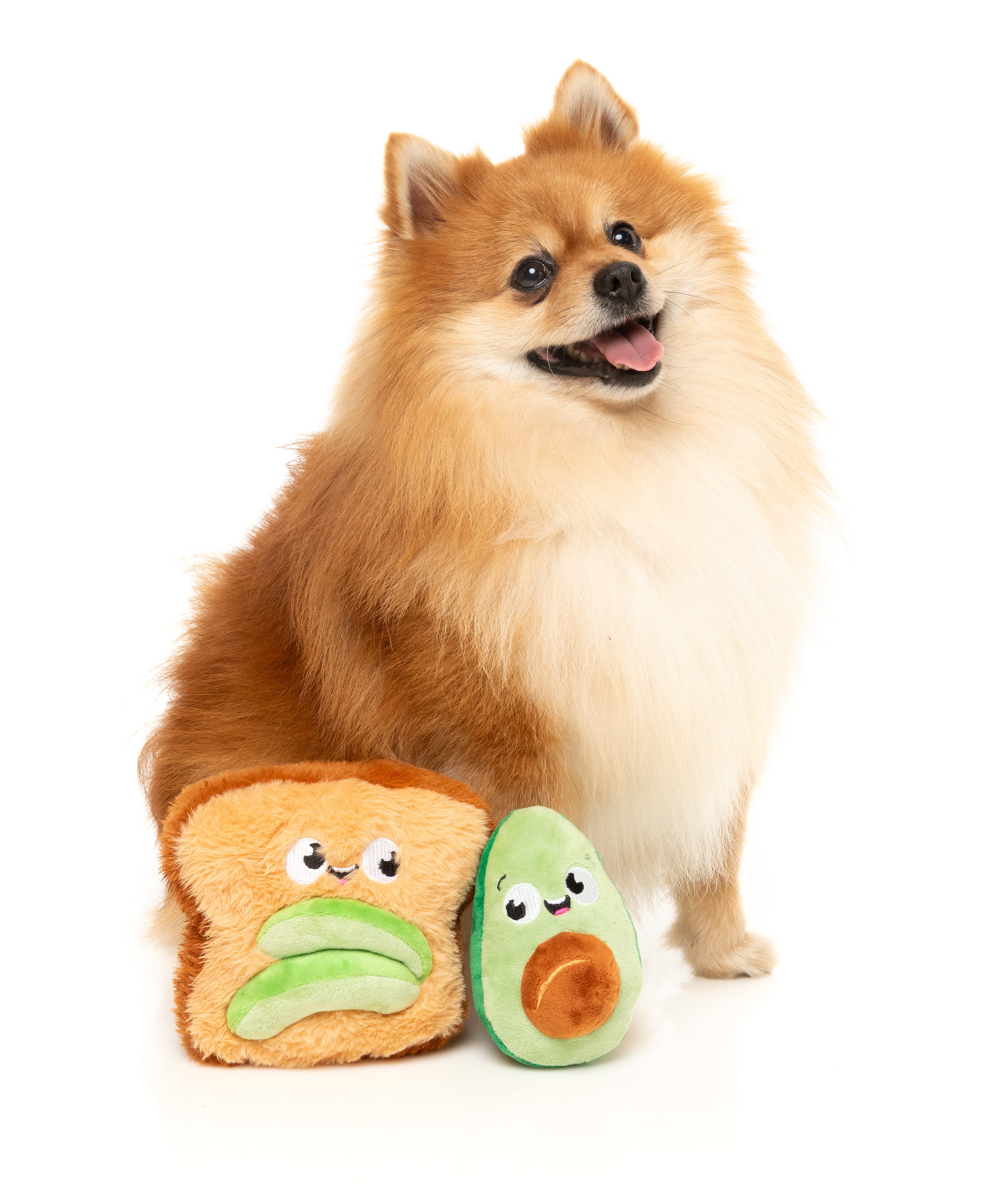 FuzzYard - Avocado & Toast 2PK