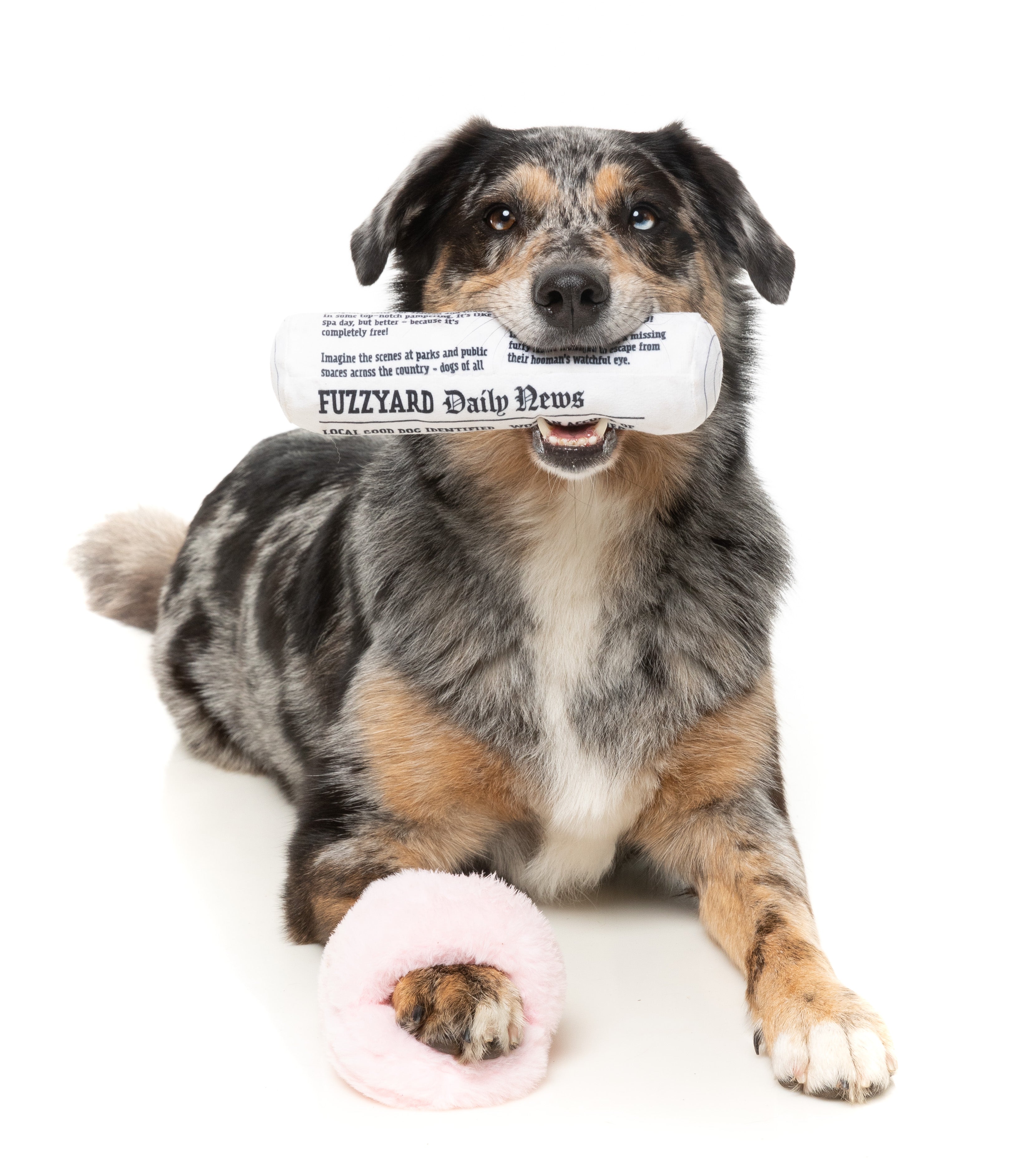 FuzzYard - Fetch My Slippers & Paper 2PK