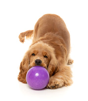 FuzzYard - Truth Tellin' Treat Ball