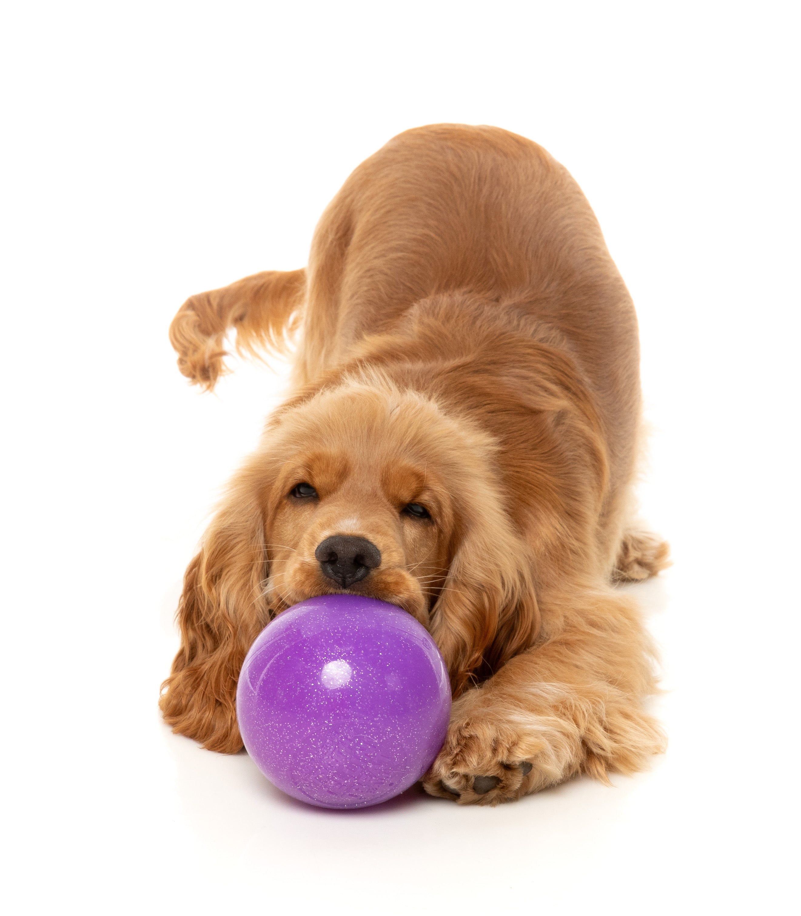 FuzzYard - Truth Tellin' Treat Ball