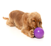 FuzzYard - Truth Tellin' Treat Ball