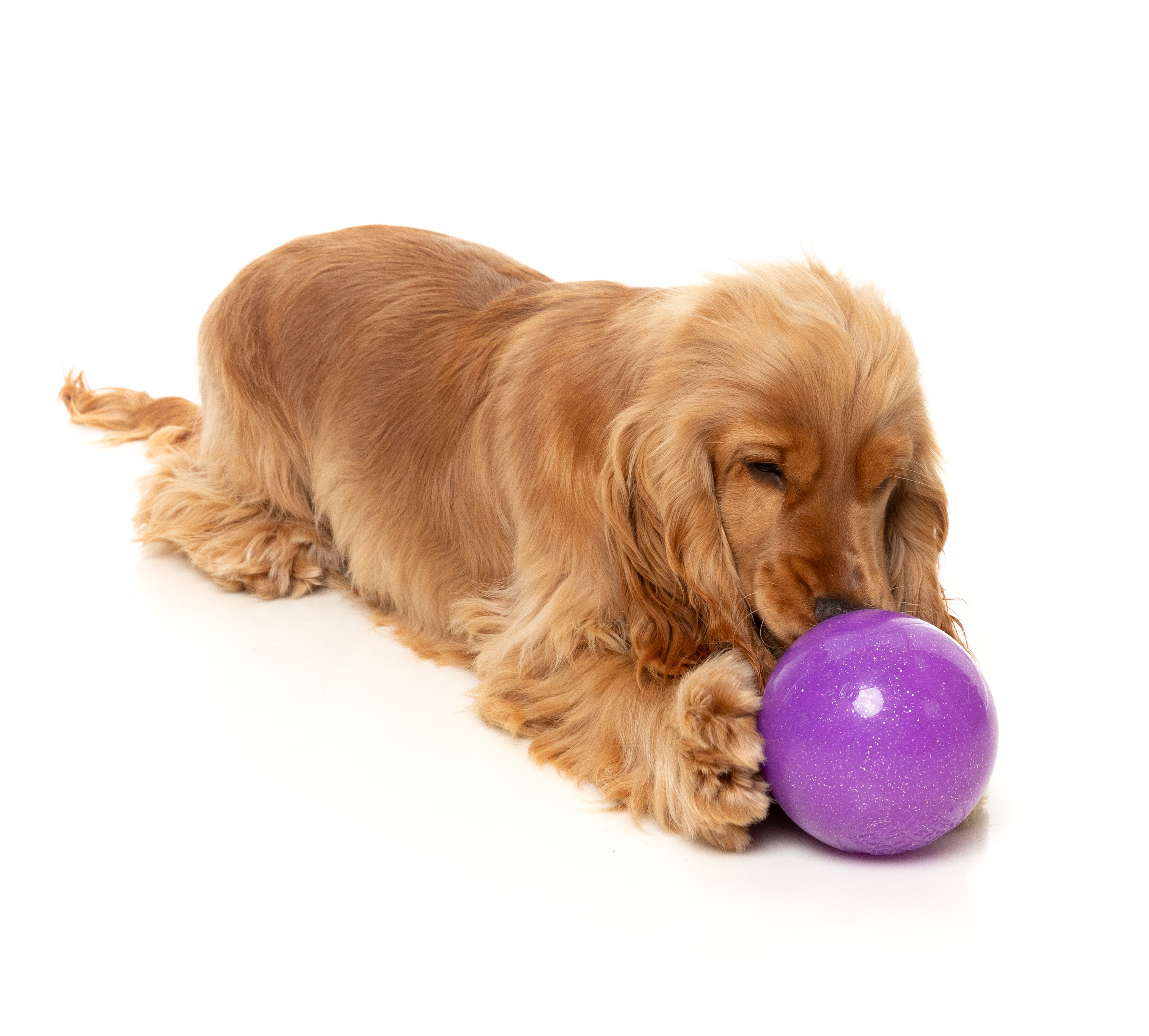 FuzzYard - Truth Tellin' Treat Ball