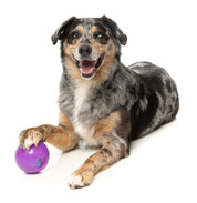 FuzzYard - Truth Tellin' Treat Ball