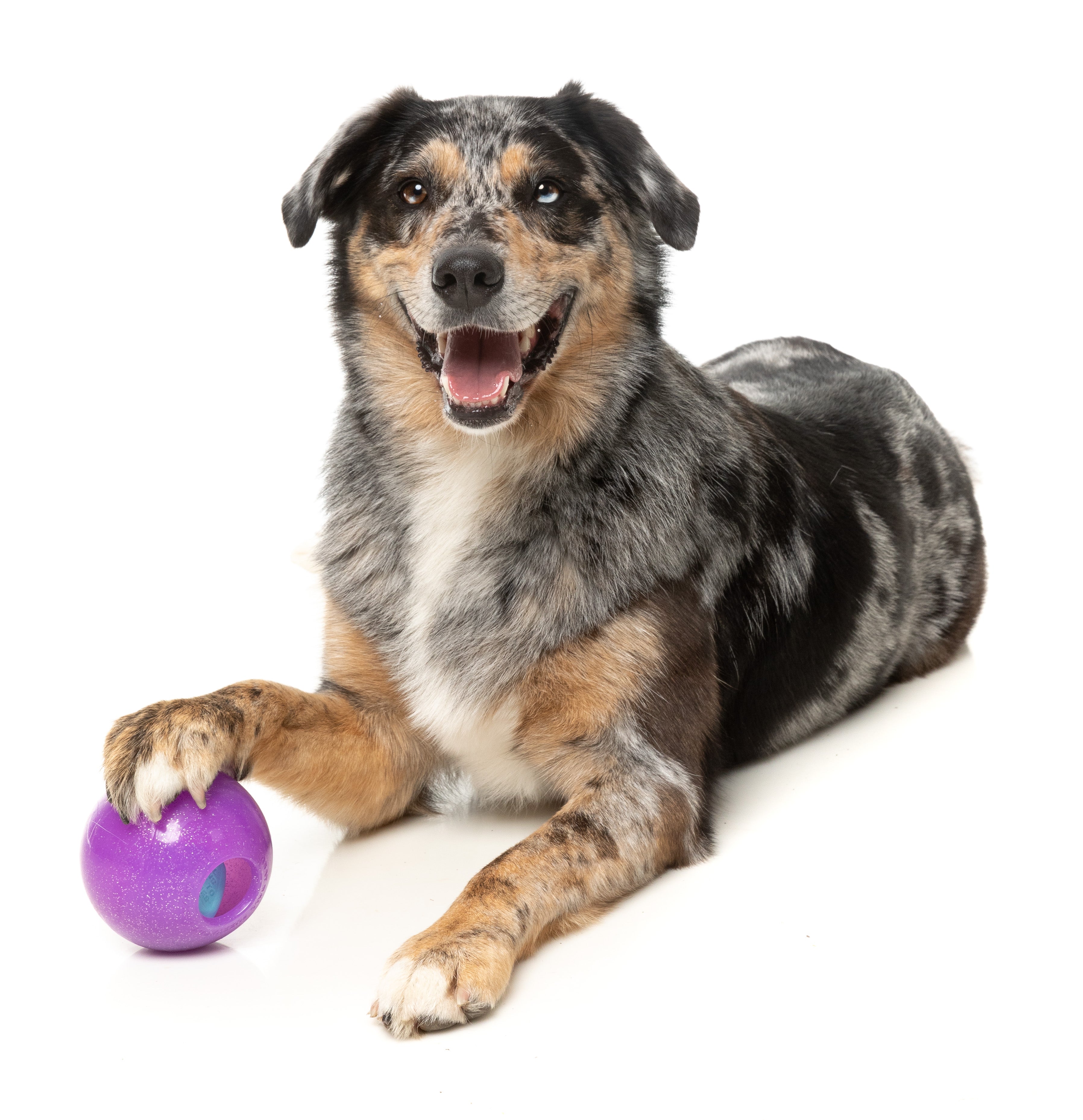 FuzzYard - Truth Tellin' Treat Ball