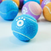 Ollie Balls!