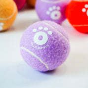 Ollie Balls!