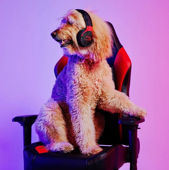 Cloud Arfa Gaming Headset