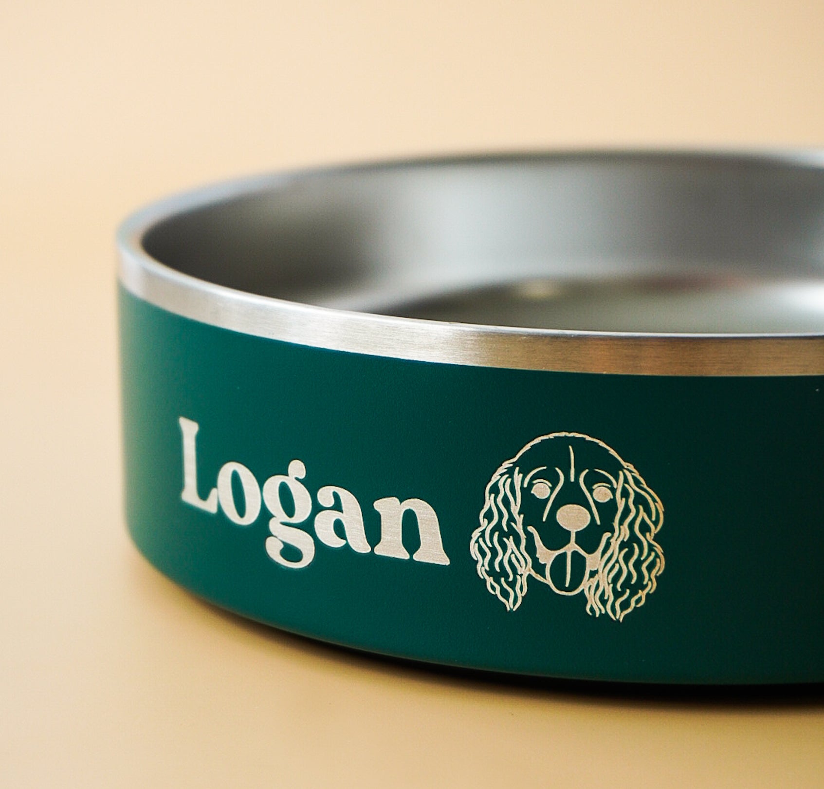 Teal - Ollie Bowl Mini (24oz)