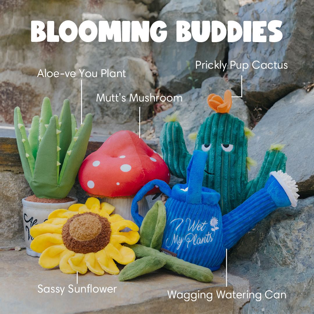 Blooming Buddies Toy Set