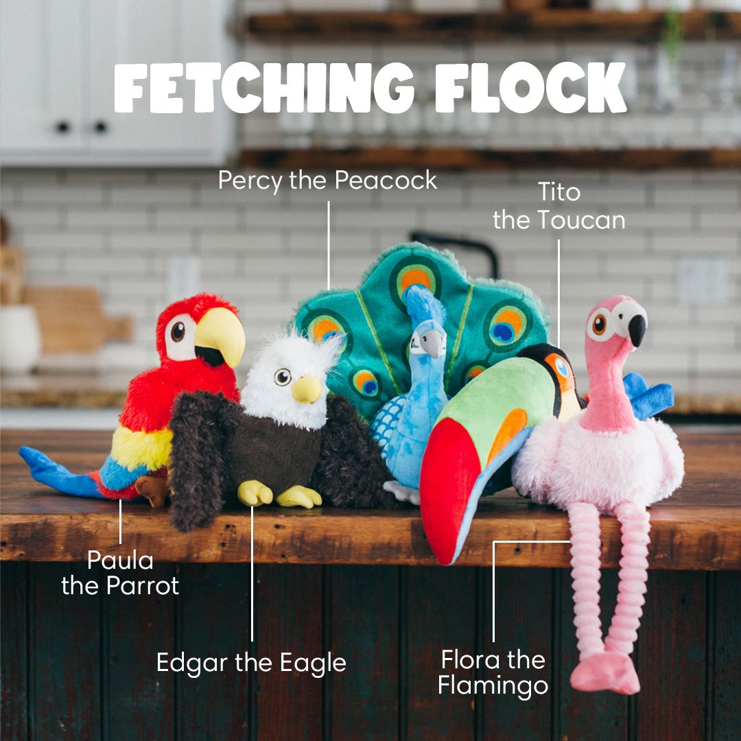 Fetching Flock Toy Set