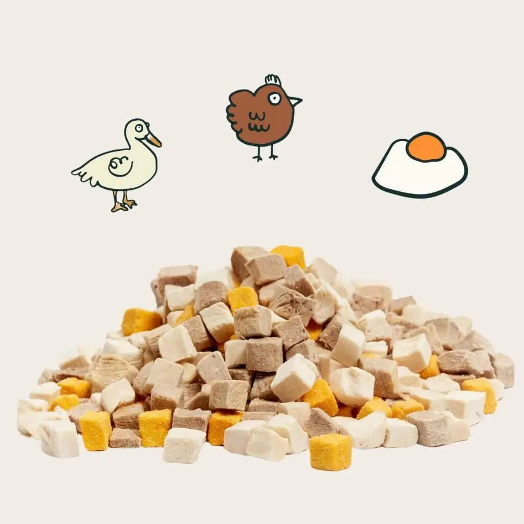 Notti Treats: 3 in 1 Protein Booster