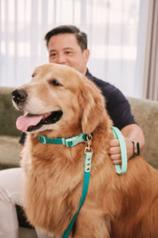 Ollie Walkies Classic - Collar and Leash Set - Aqua
